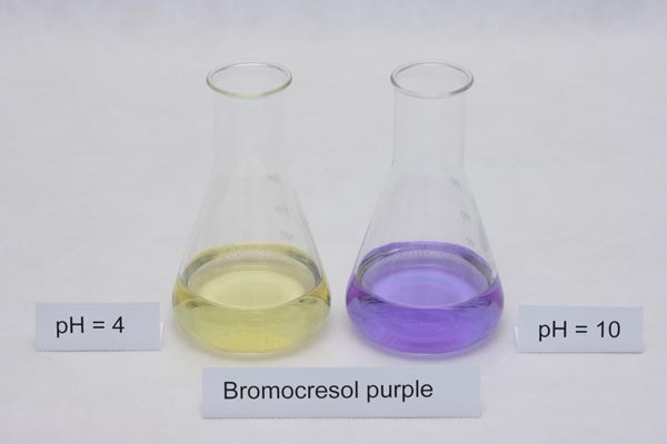 colors of bromocresol purple indicator in different pH solutions