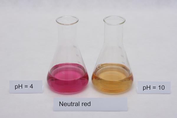 colors of neutral red indicator in different pH solutions