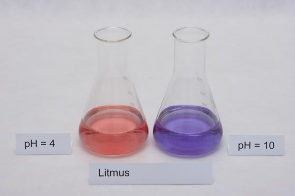 colors of litmus indicator in different pH solutions