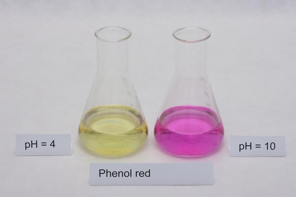 colors of phenol red indicator in different pH solutions